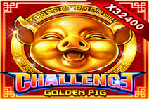 Golden Pig